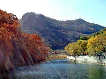 管家婆黑白马报图库，票样